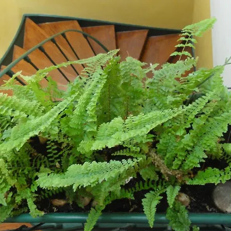 Διαμέρισμα Santa Barbara *